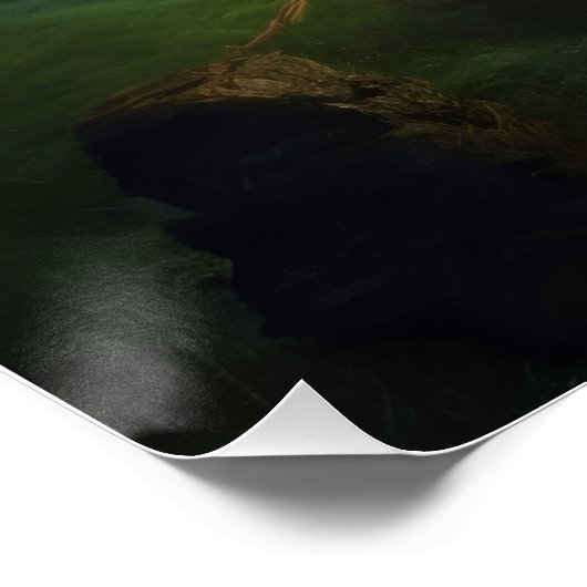 Moonlight Forest Path Perfect Poster (Hoek)