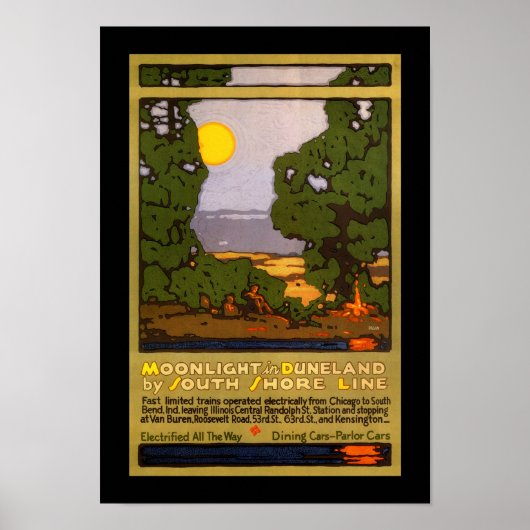 Moonlight in Duneland Poster (Voorkant)