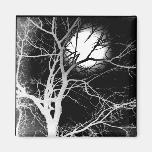 Moonlight Magneet (Voorkant)