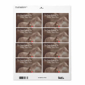 Moonlight Night Dream Paard Lady Bookplaten Labels (Full Sheet)