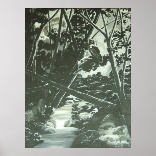 Moonlight Shadows Poster (Voorkant)