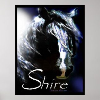MOONLIGHT SHIRE POSTER
