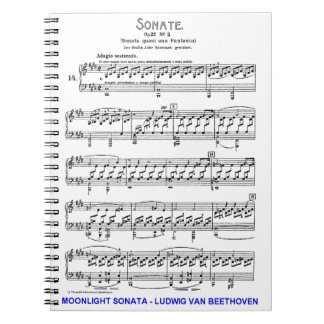 Moonlight-Sonata-Ludwig-Beethoven Notitieboek