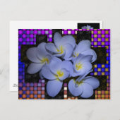 Moonlight Stardus Plumeria Weave Briefkaart (Voorkant / Achterkant)