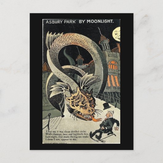 Moonlight Too Much Fun, Asbury Park, NJ  Briefkaart (Voorkant)