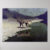 Moonlight Wolf Poster (Voorkant)