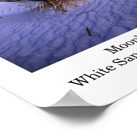 Moonlight Yucca Poster (Hoek)