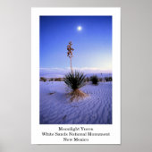 Moonlight Yucca Poster (Voorkant)