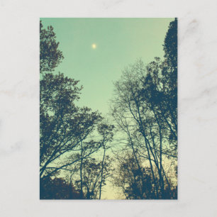 Moonlit nacht Briefkaart