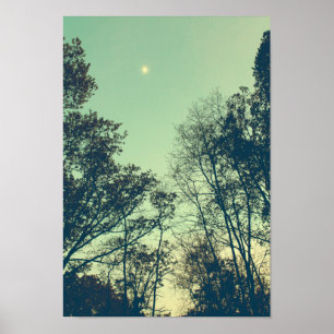 Moonlit nacht Poster