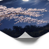 Moonlit Sakura – Cherry Blossoms Under a Full Moon Poster (Hoek)