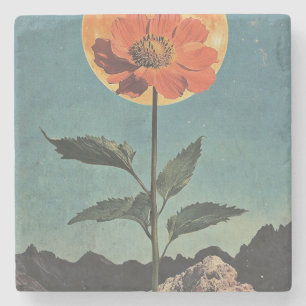 Moonlit Sinaasappel Bloom - Boho Charm (2) Stenen Onderzetter