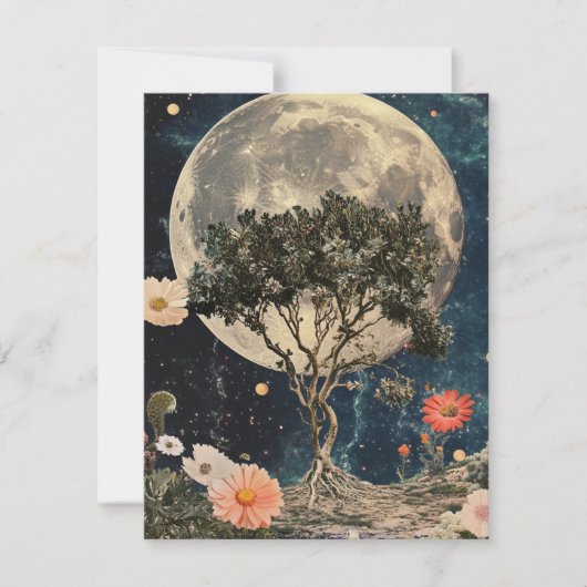 Moonlit Tree & Blossoms (Voorkant)