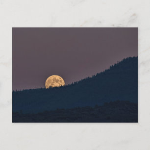 MOONRISE BRIEFKAART