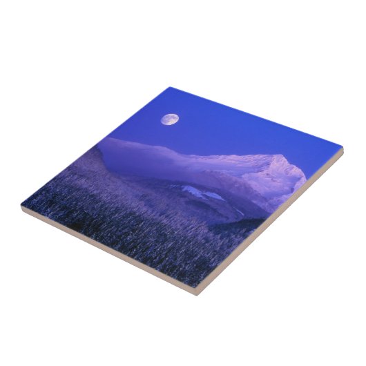 Moonrise over Mt Hood winter, Oregon Tegeltje (Zijkant)