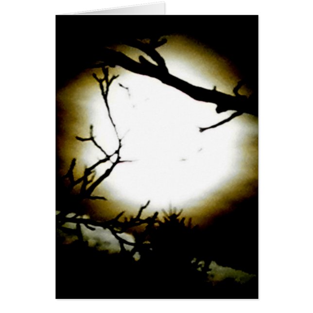 Moonshine (Voorkant)