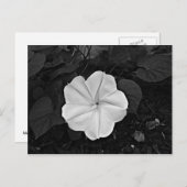 Moonventilator Briefkaart (Voorkant / Achterkant)