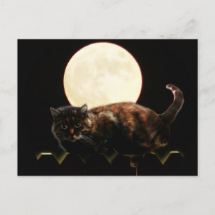 Moonverlichte kat op een hek met volle maan briefkaart