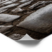 Moonverlichte kobblepels poster (Hoek)