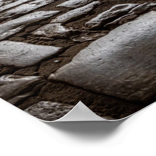 Moonverlichte kobblepels poster (Hoek)