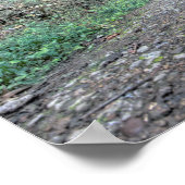 Moonville Tunnel, Vinton County, Ohio Poster (Hoek)