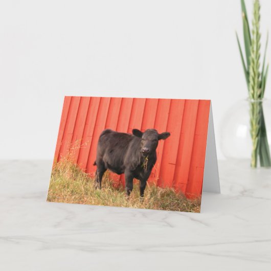 Mooooo Kaart (Voorkant)