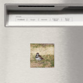 Moordenaar vogelmagneet magneet (Insitu (Vaatwasser))