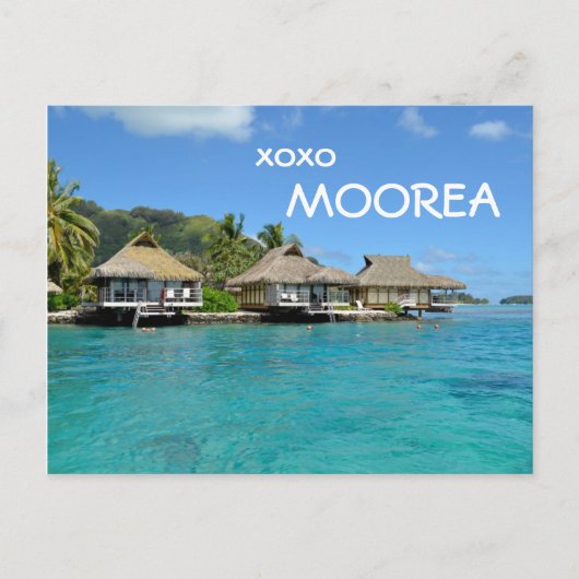 Moorea bungalows with text: 'xoxo Moorea' postcard Briefkaart (Voorkant)