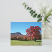 Moore's Knob in Hanging Rock State Park Briefkaart (Staand voorkant)