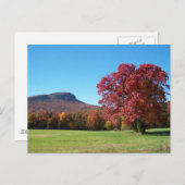 Moore's Knob in Hanging Rock State Park Briefkaart (Voorkant / Achterkant)