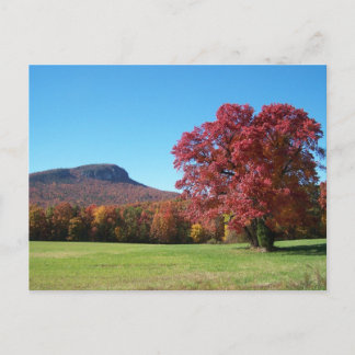 Moore's Knob in Hanging Rock State Park Briefkaart