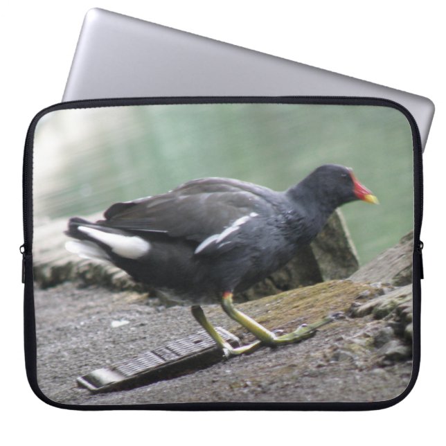 Moorhen Laptop Bag Laptop Sleeve (Voorkant)