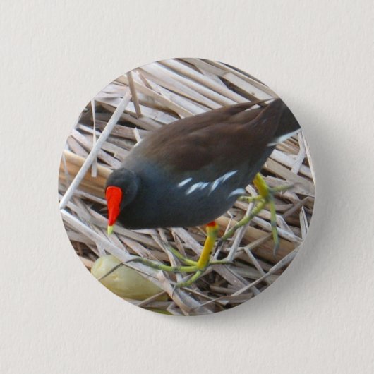 Moorhen Ronde Button 5,7 Cm (Voorkant)