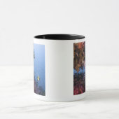 Moorish Idol Mok (Midden)