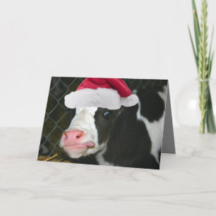 Moory Kerstmis van de Koe Feestdagen Kaart