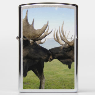 Moose