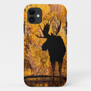 Moose (Alces Alces Alces) Bull in Golden Willows 2 iPhone 11 Hoesje