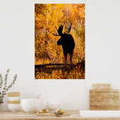 Moose (Alces Alces Alces) Bull in Golden Willows 2 Poster (Keuken)