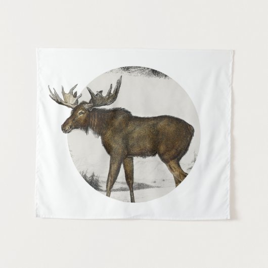 Moose - Alces Alces Wandkleed (Voorkant (horizontaal))