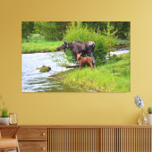Moose And Calf Colorado River Canvas Afdruk (Insitu (Woonkamer))