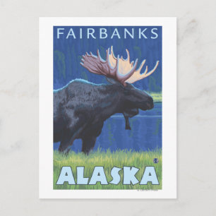 Moose at Night - Fairbanks, Alaska Briefkaart