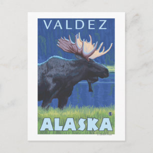 Moose at Night - Valdez, Alaska Briefkaart