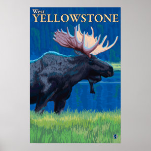 Moose at Night - West Yellowstone, Montana Poster
