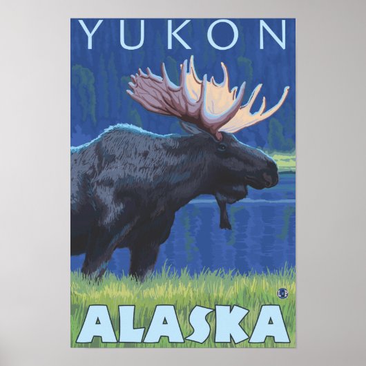 Moose at Night - Yukon, Alaska Poster (Voorkant)