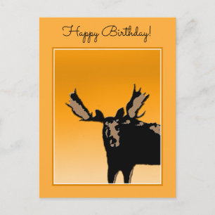 Moose at Sunset - Original Wildlife Art Briefkaart