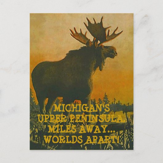 MOOSE AT SUNSET ~ UPPER PENINSULA VOYAGE CARTE POS (Devant)