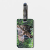 Moose bagagelabel (Achterkant verticaal)