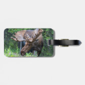 Moose bagagelabel (Achterkant horizontaal)