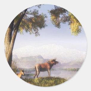 Moose bij de sticker van het meer