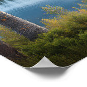 Moose bij Lake 4 Poster (Hoek)